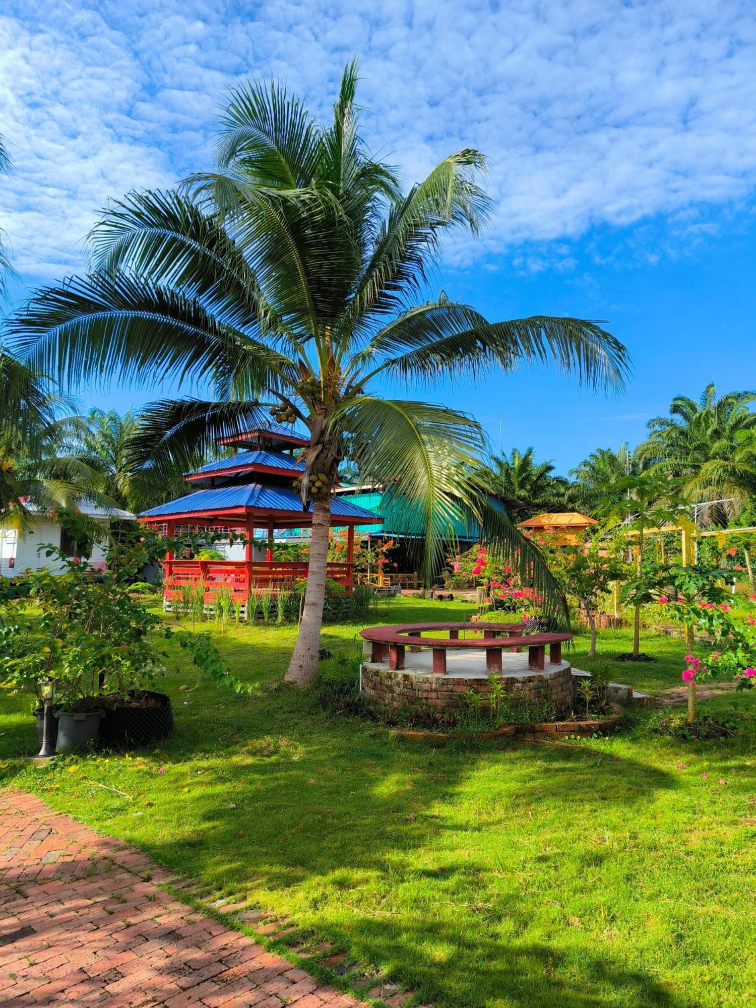 Shunde Palm Resort 仙本那顺德人家棕榈园 المظهر الخارجي الصورة