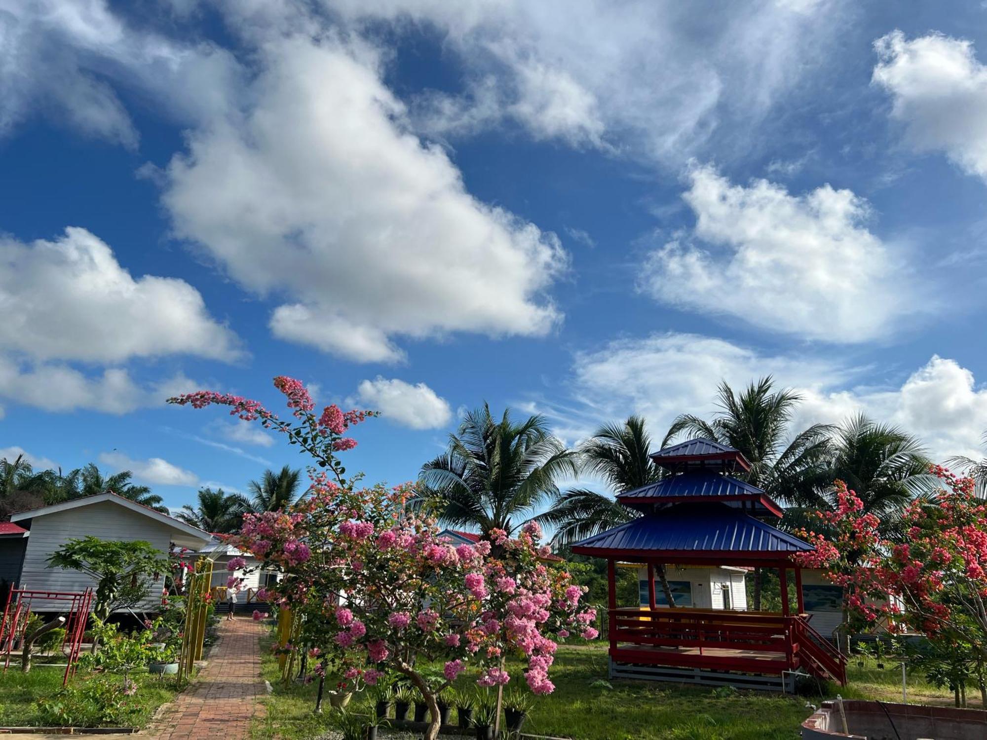 Shunde Palm Resort 仙本那顺德人家棕榈园 المظهر الخارجي الصورة