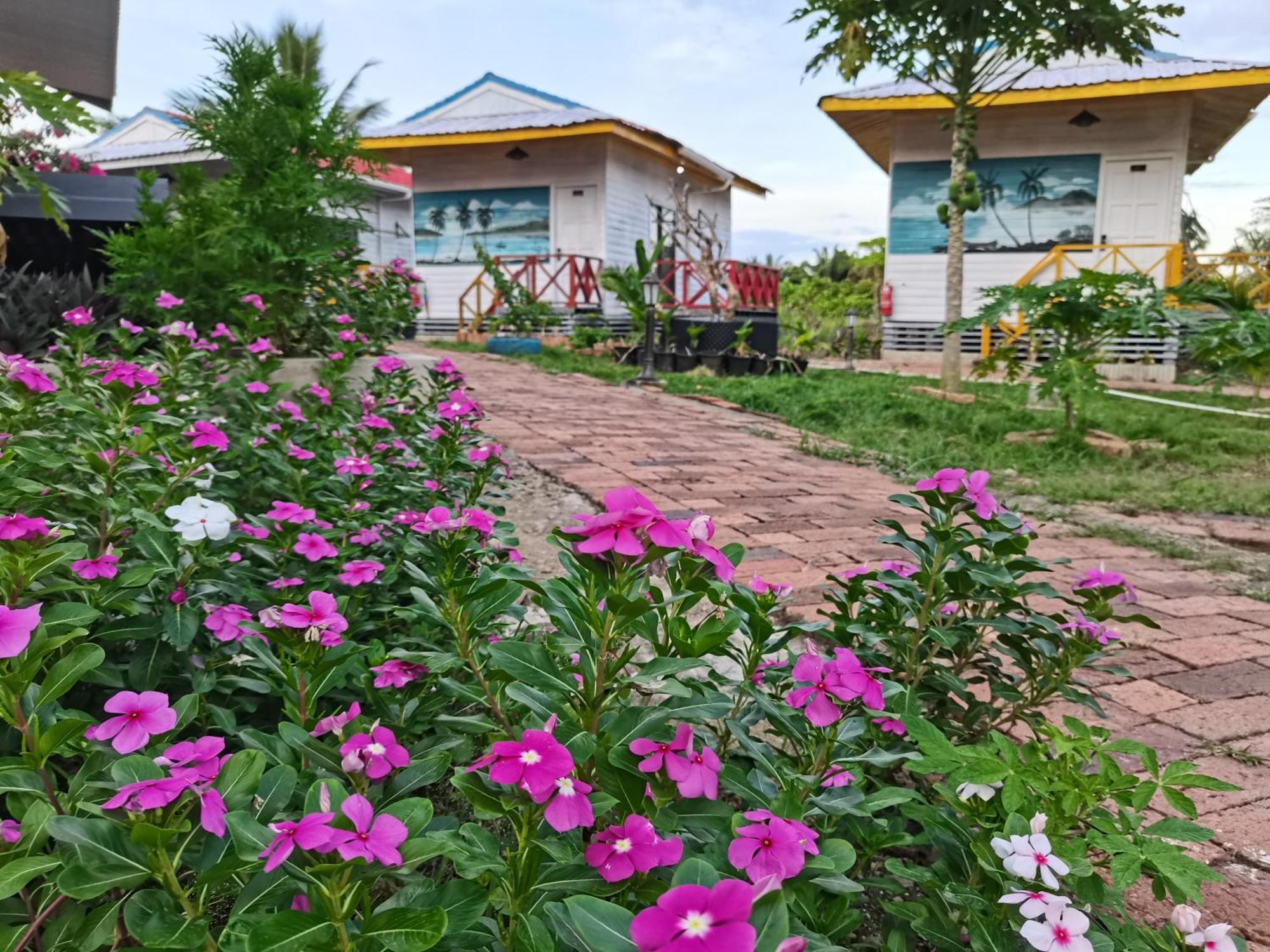 Shunde Palm Resort 仙本那顺德人家棕榈园 المظهر الخارجي الصورة
